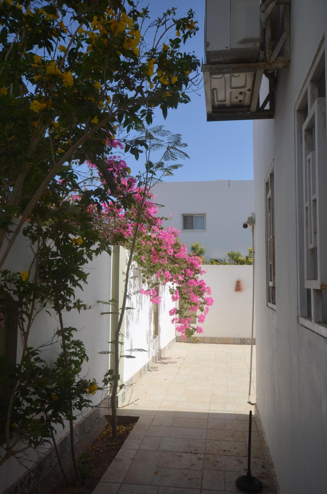 Elite Residence Νταχάμπ Εξωτερικό φωτογραφία